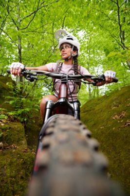 Ebikes