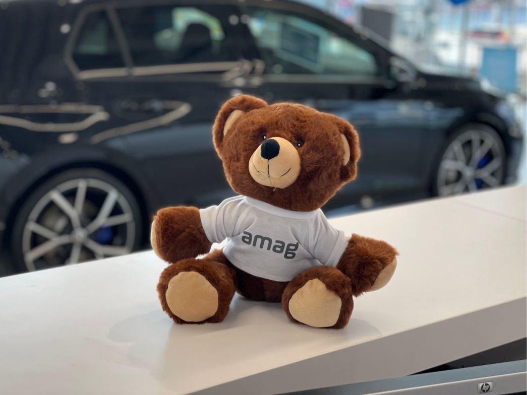AMAG Teddy