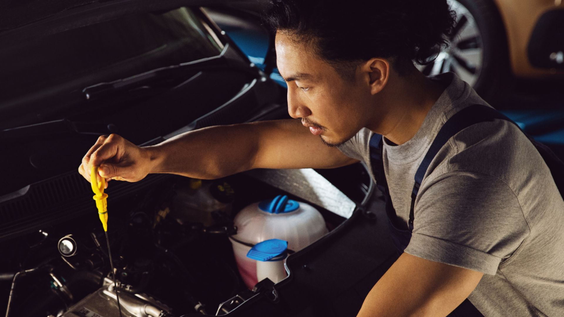 Camping California Services Checks