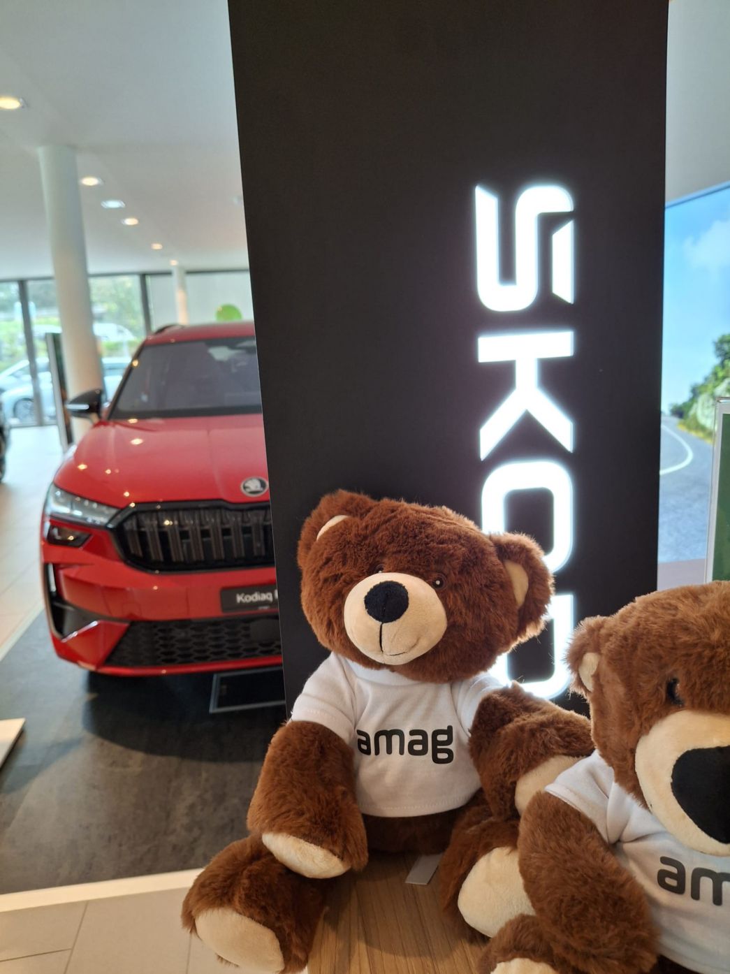 Škoda Showroom mit Teddybären