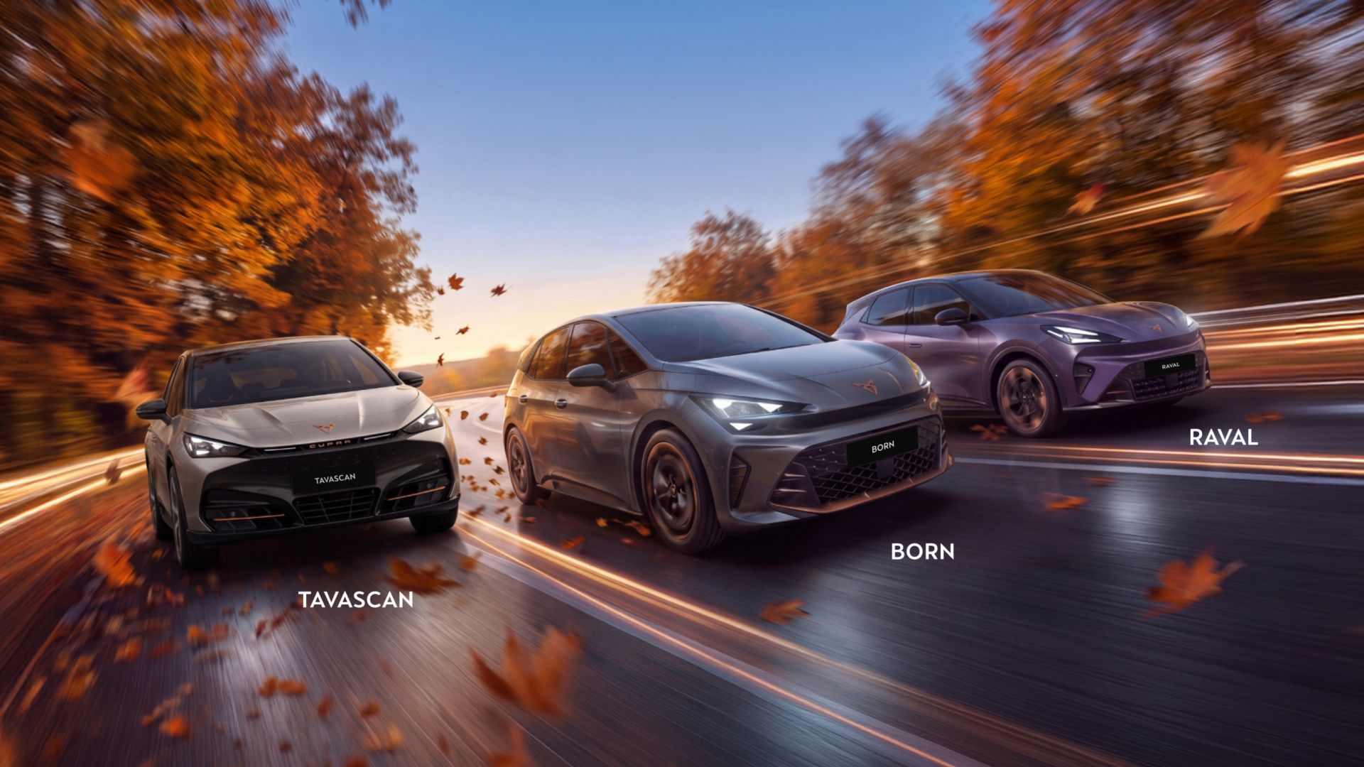 amag-electric-family