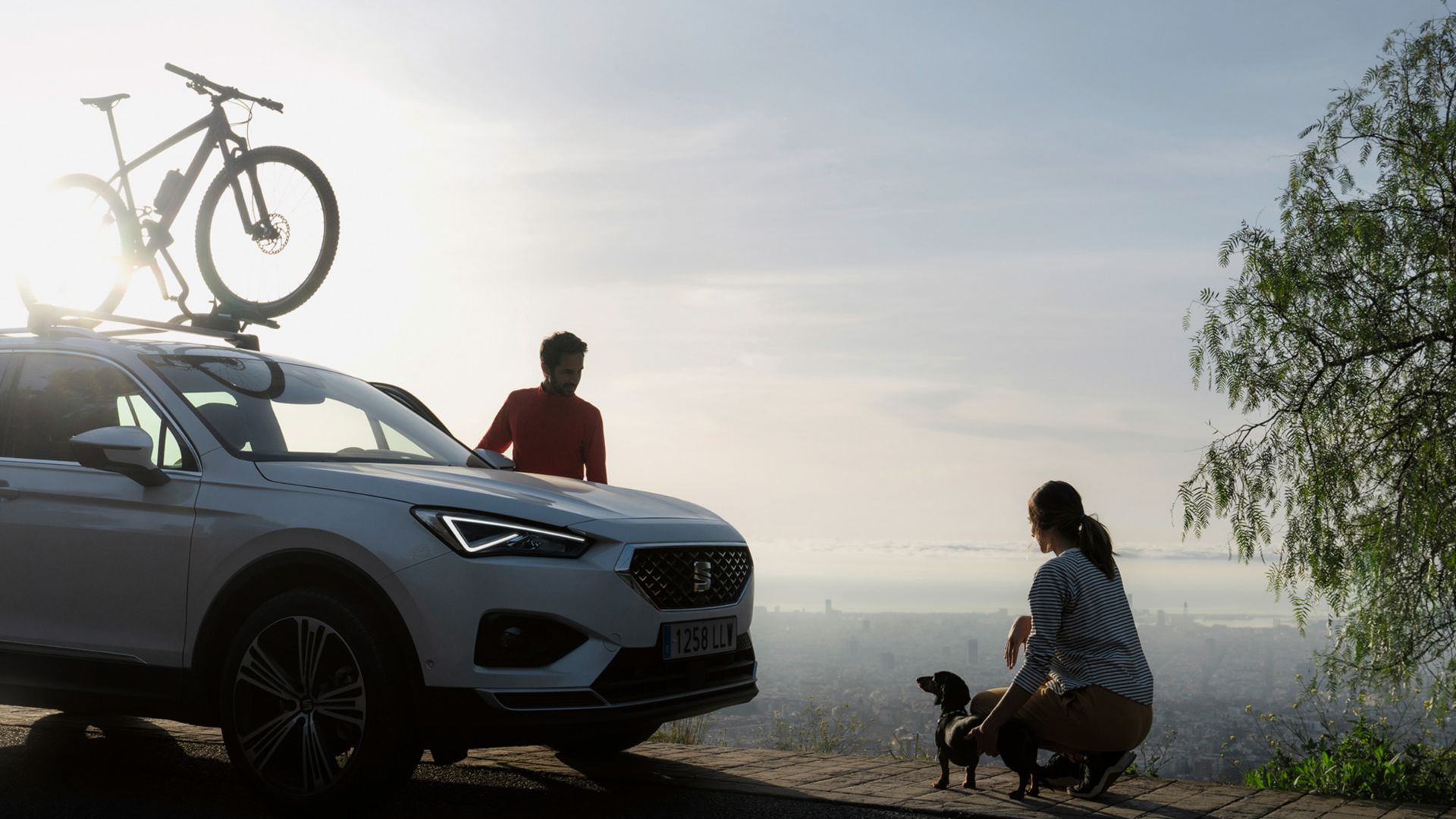 amag-seat-angebote