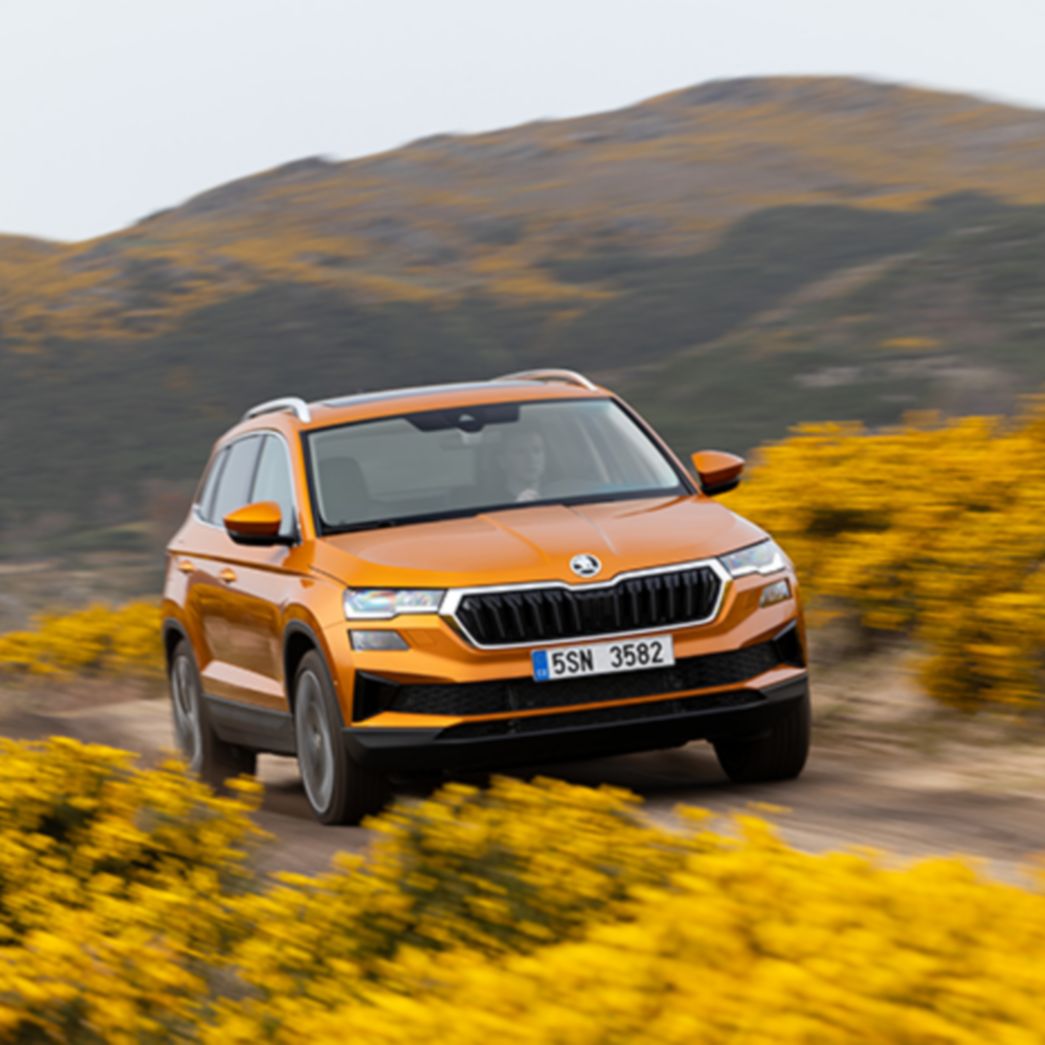 Škoda Karoq orange Fronansicht in Blumenfeld