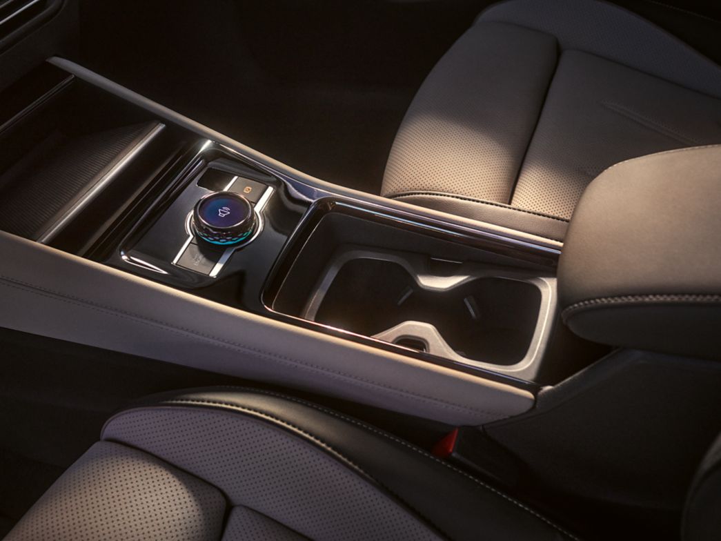 Fahrerlebnisschalter des VW Tiguan