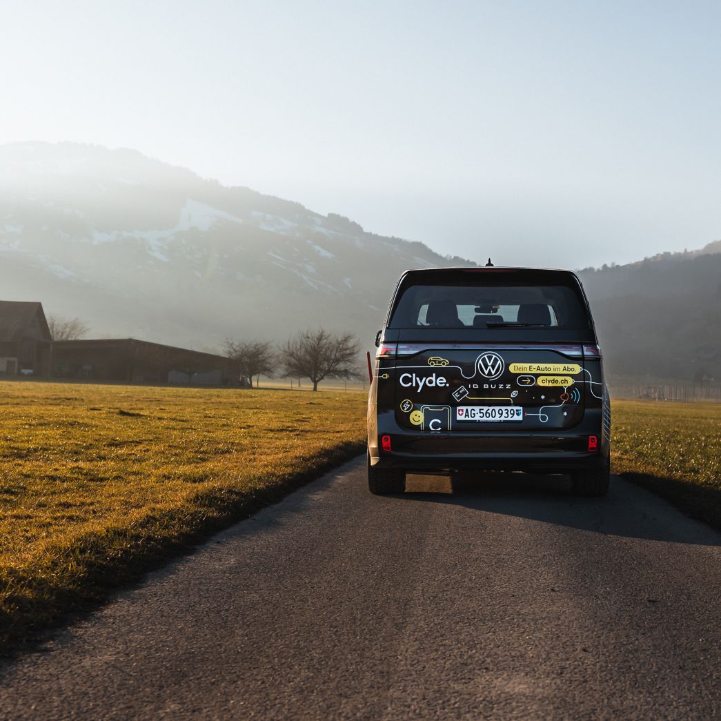 VW Bus in Gras-Landschaft